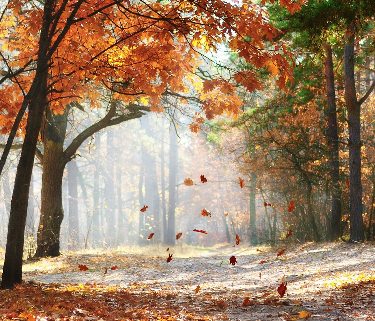 Διάβασε ΔΩΡΕΑΝ την προσωπική σου πρόβλεψη, για σήμερα 02/10/2023