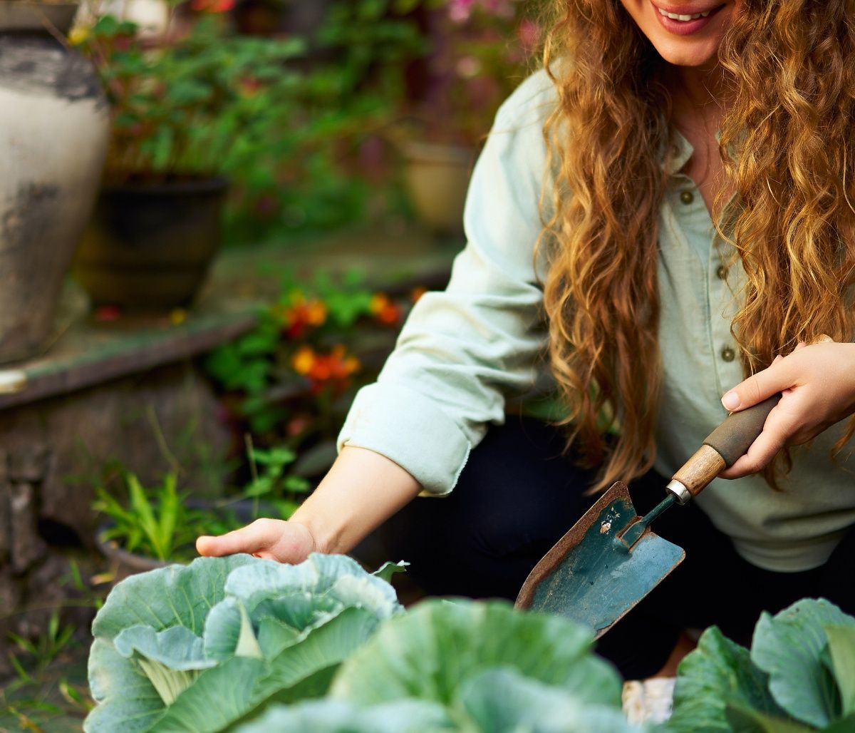 Κι όμως! Η θέση της Σελήνης παίζει σημαντικό ρόλο στην κηπουρική