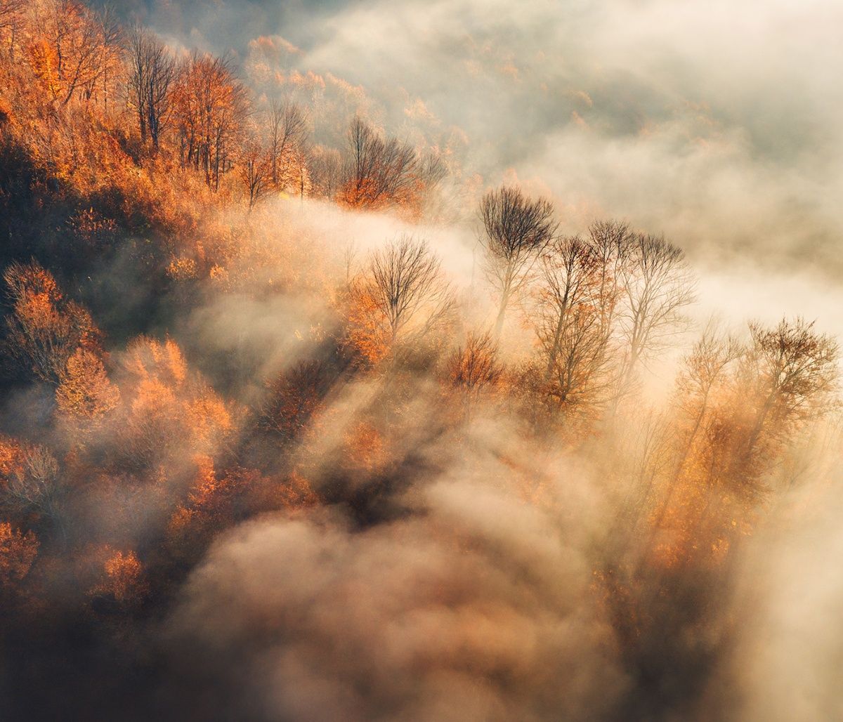 Διάβασε ΔΩΡΕΑΝ την προσωπική σου πρόβλεψη, για σήμερα 06/10/2023