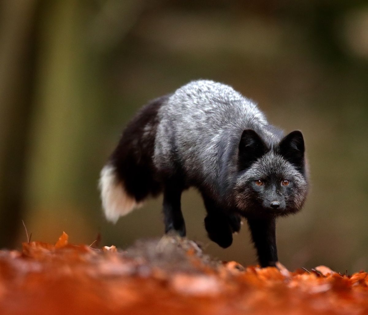 Διάβασε ΔΩΡΕΑΝ την προσωπική σου πρόβλεψη, για σήμερα 07/10/2023