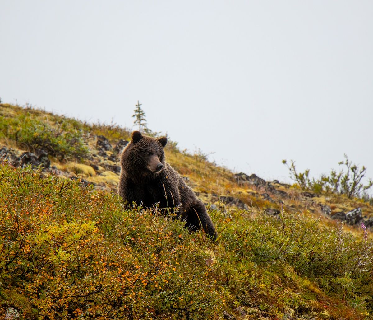 Διάβασε ΔΩΡΕΑΝ την προσωπική σου πρόβλεψη, για σήμερα 09/10/2023