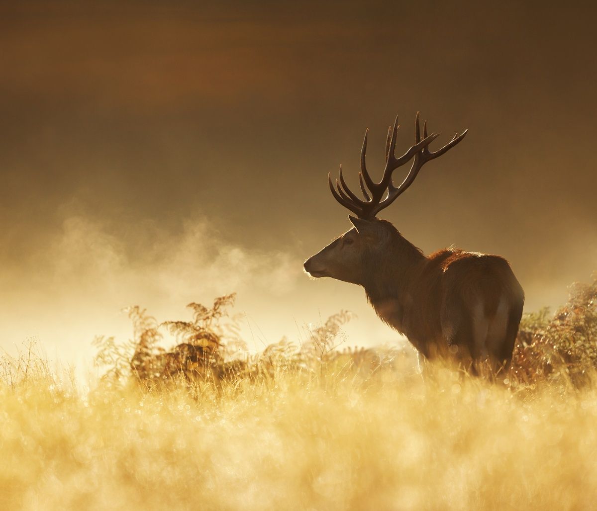 Διάβασε ΔΩΡΕΑΝ την προσωπική σου πρόβλεψη, για σήμερα 11/10/2023