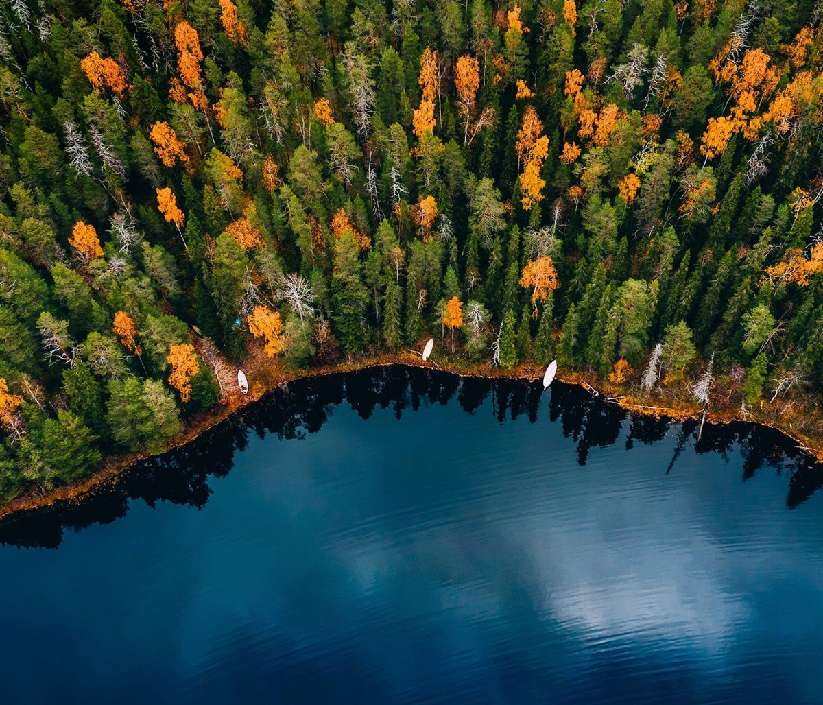 Διάβασε ΔΩΡΕΑΝ την προσωπική σου πρόβλεψη, για σήμερα 12/10/2023