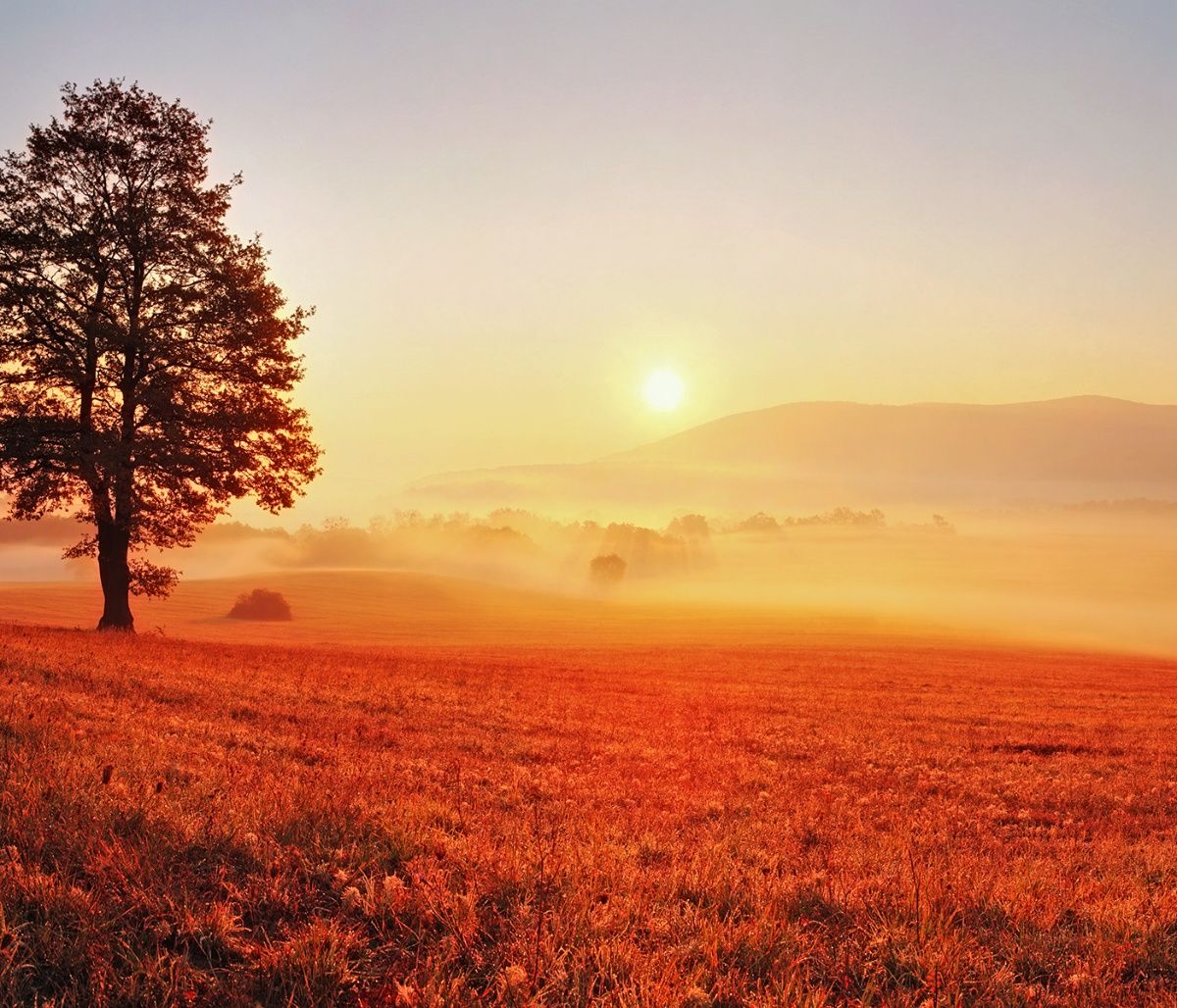 Διάβασε ΔΩΡΕΑΝ την προσωπική σου πρόβλεψη, για σήμερα 14/10/2023