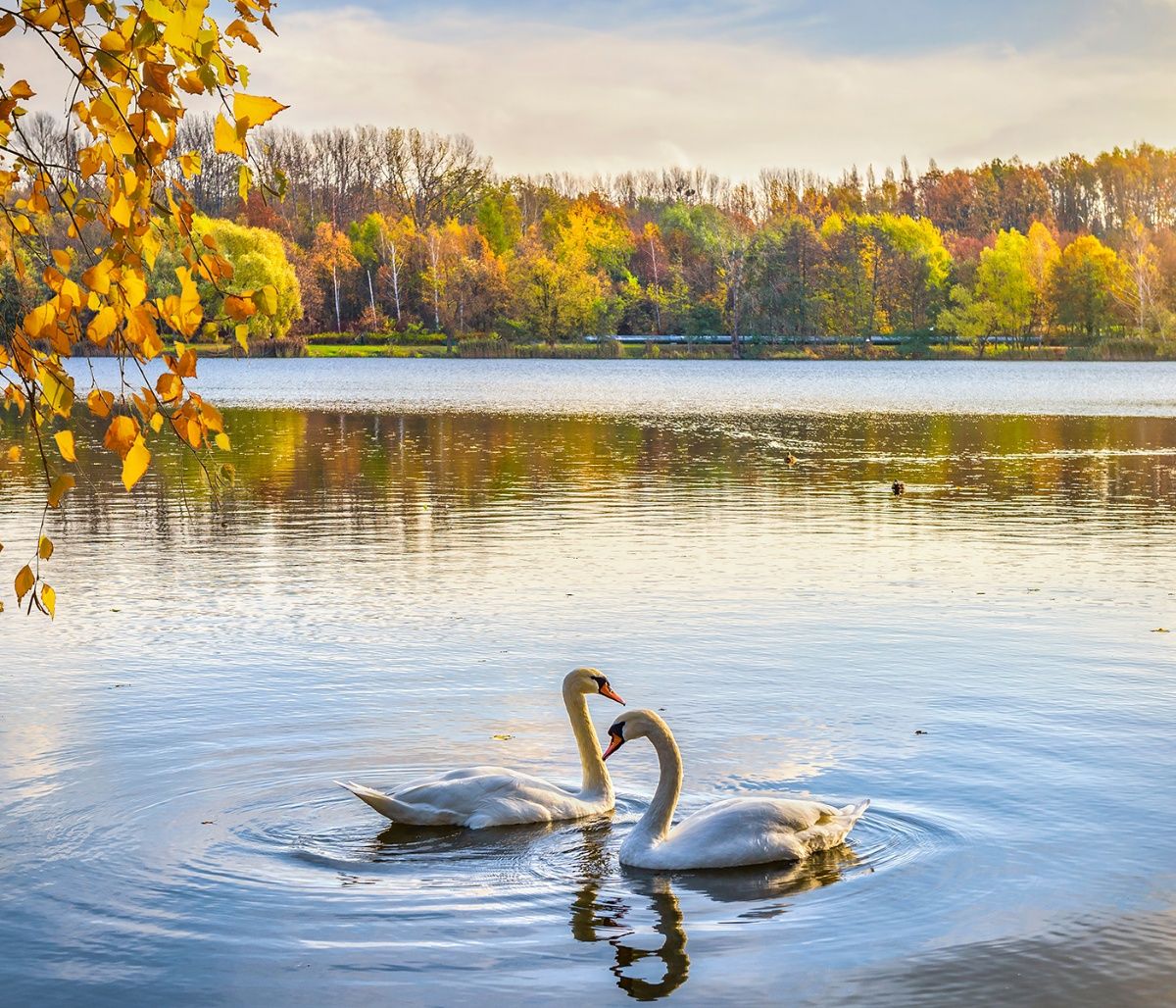 Διάβασε ΔΩΡΕΑΝ την προσωπική σου πρόβλεψη, για σήμερα 15/10/2023
