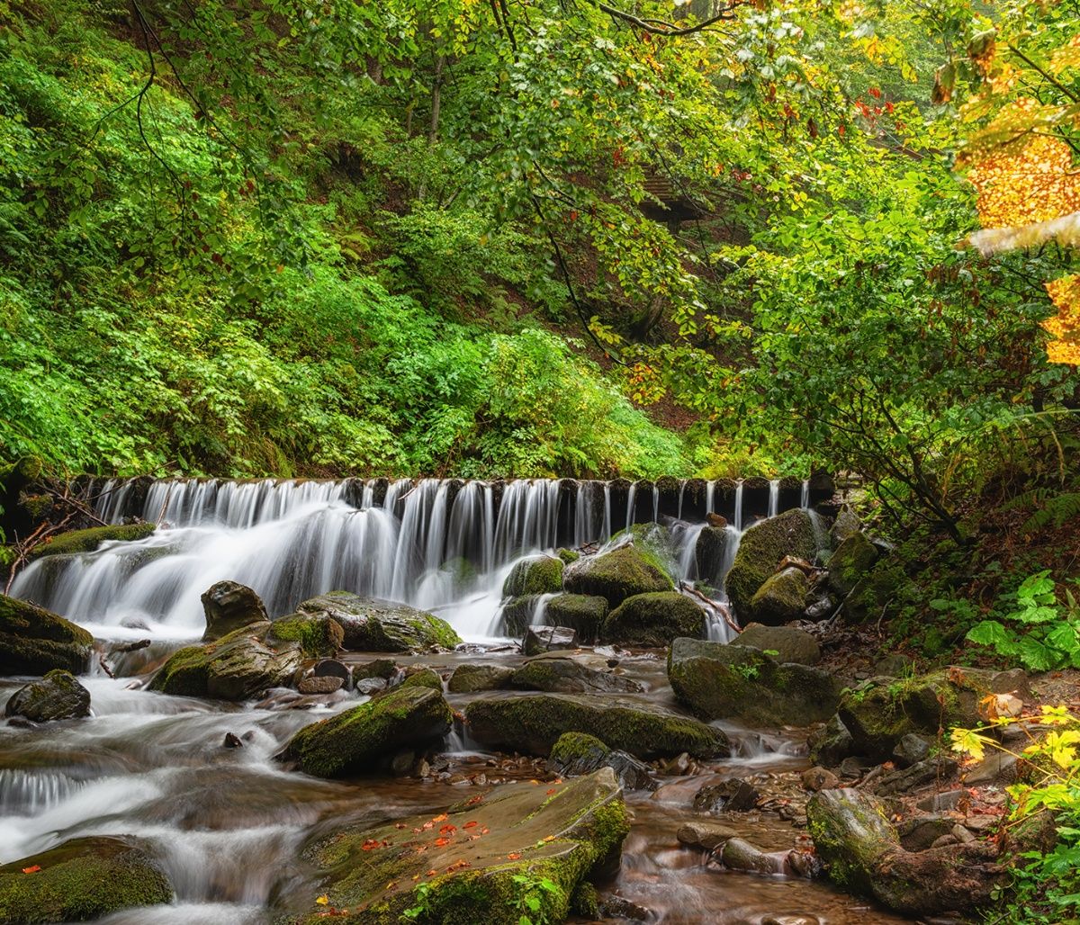 Διάβασε ΔΩΡΕΑΝ την προσωπική σου πρόβλεψη, για σήμερα 16/10/2023