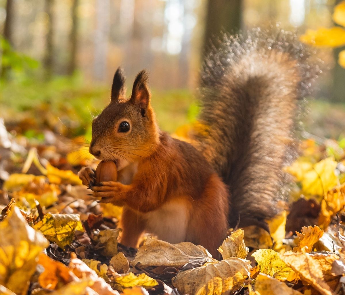 Διάβασε ΔΩΡΕΑΝ την προσωπική σου πρόβλεψη, για σήμερα 17/10/2023