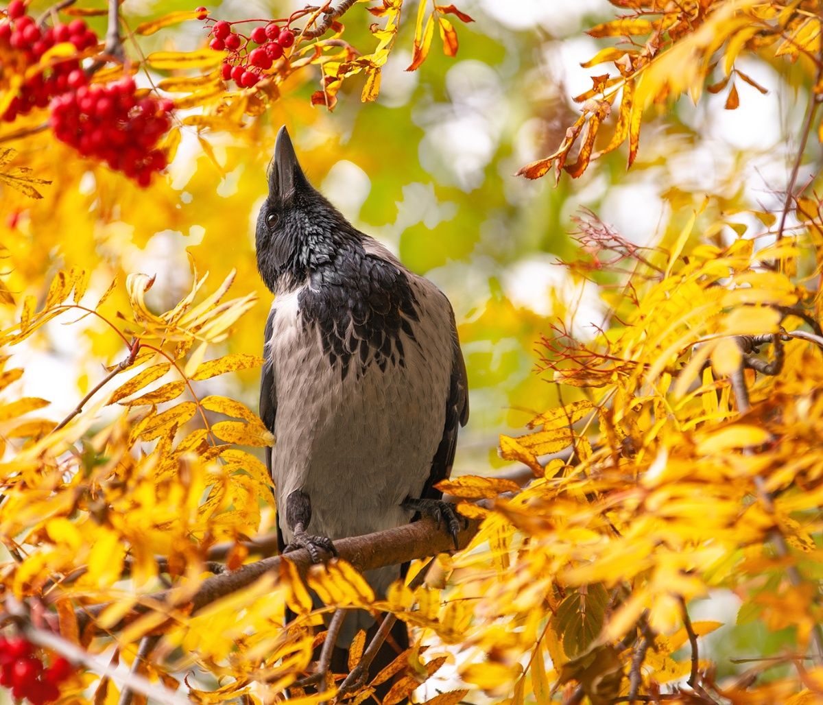 Διάβασε ΔΩΡΕΑΝ την προσωπική σου πρόβλεψη, για σήμερα 19/10/2023