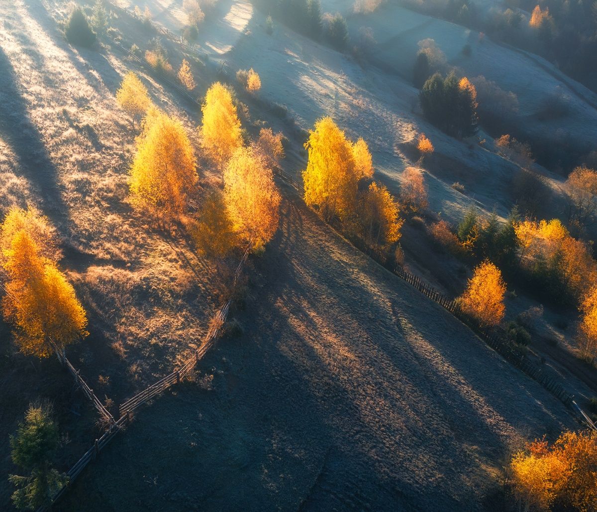 Τι πρέπει να γνωρίζεις για τους πλανήτες και τα ζώδια για τον Νοέμβριο