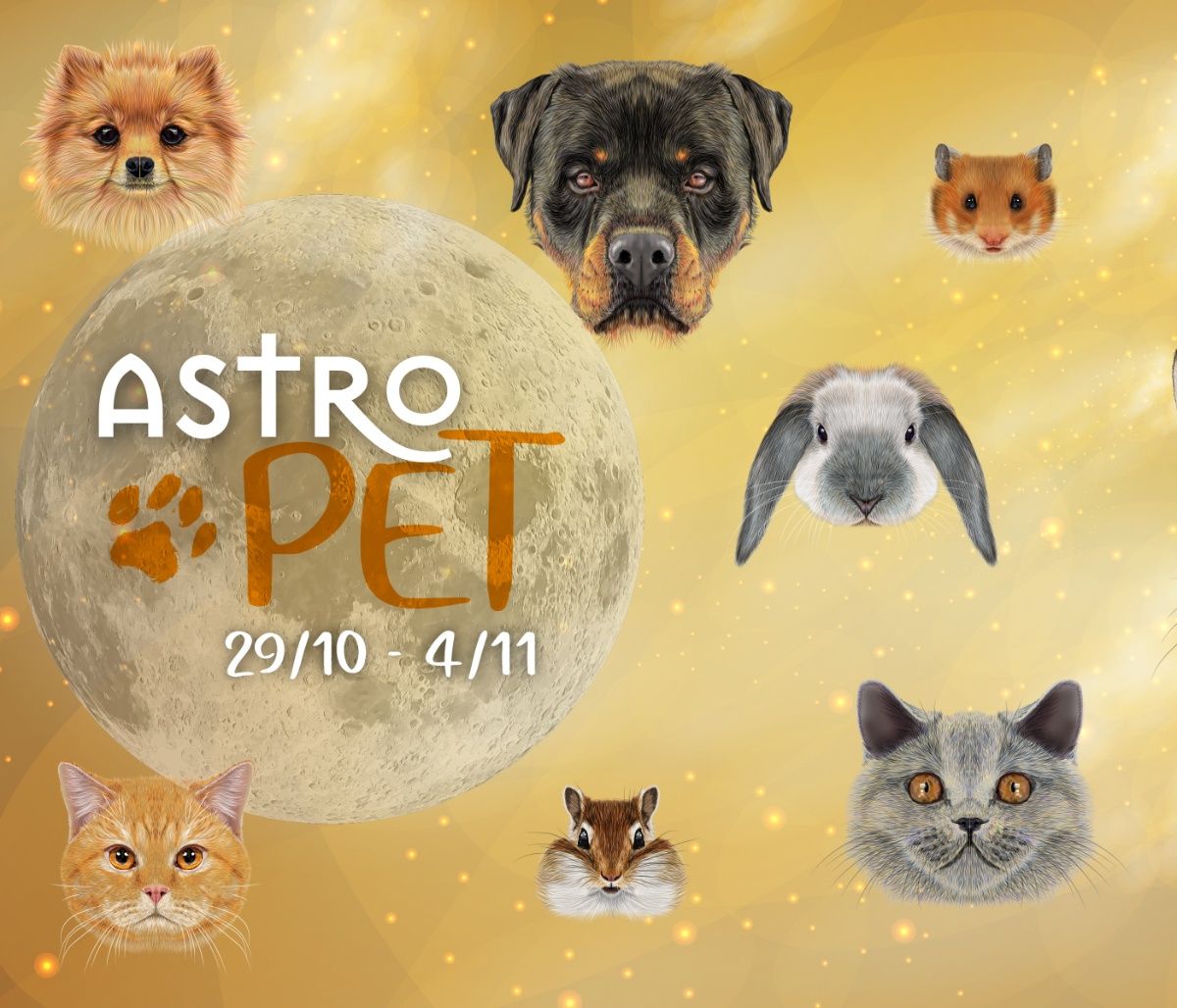 AstroPet 29/10-04/11: Εβδομαδιαίες προβλέψεις για το κατοικίδιό σου