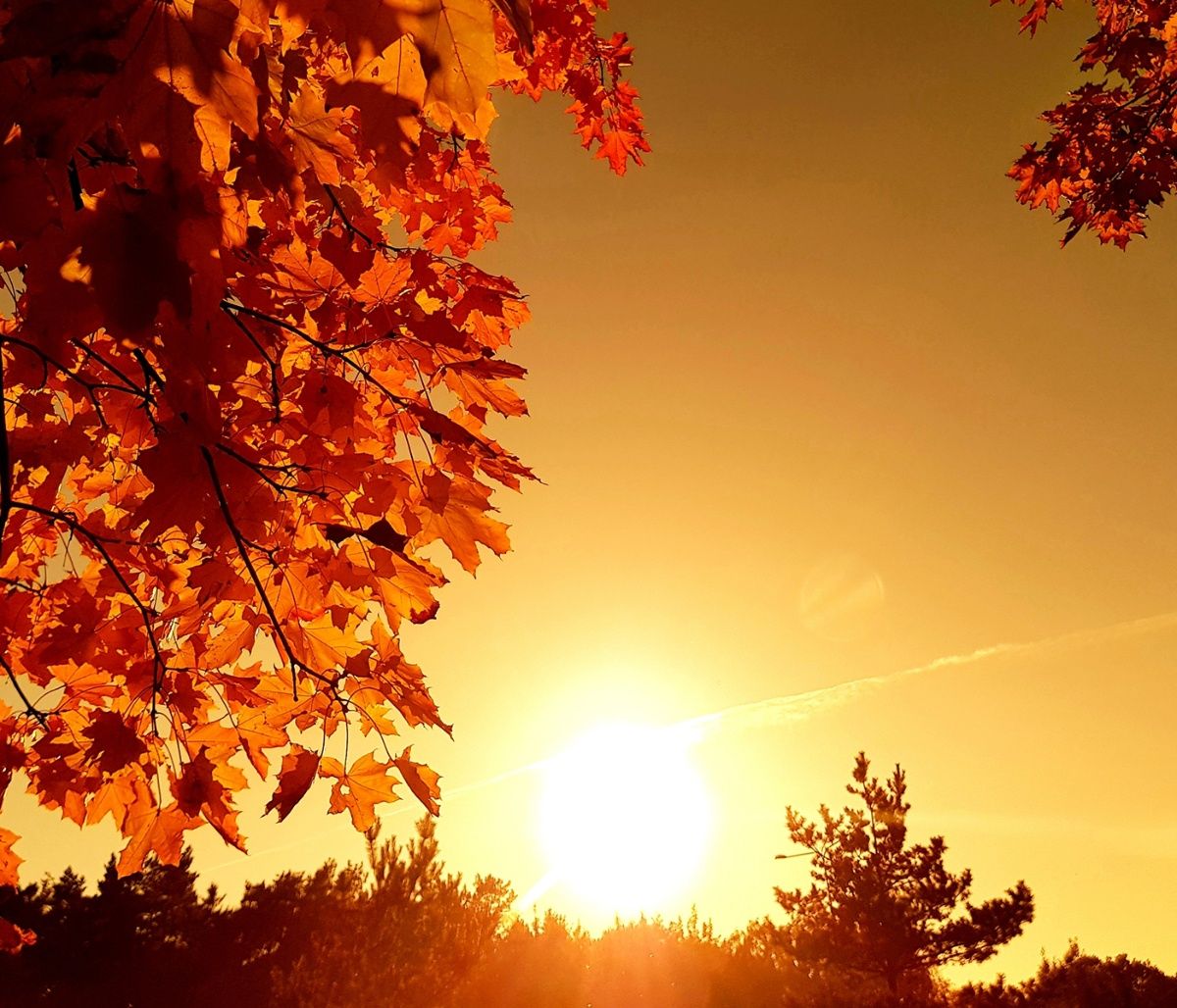 Διάβασε ΔΩΡΕΑΝ την προσωπική σου πρόβλεψη, για σήμερα 29/10/2023