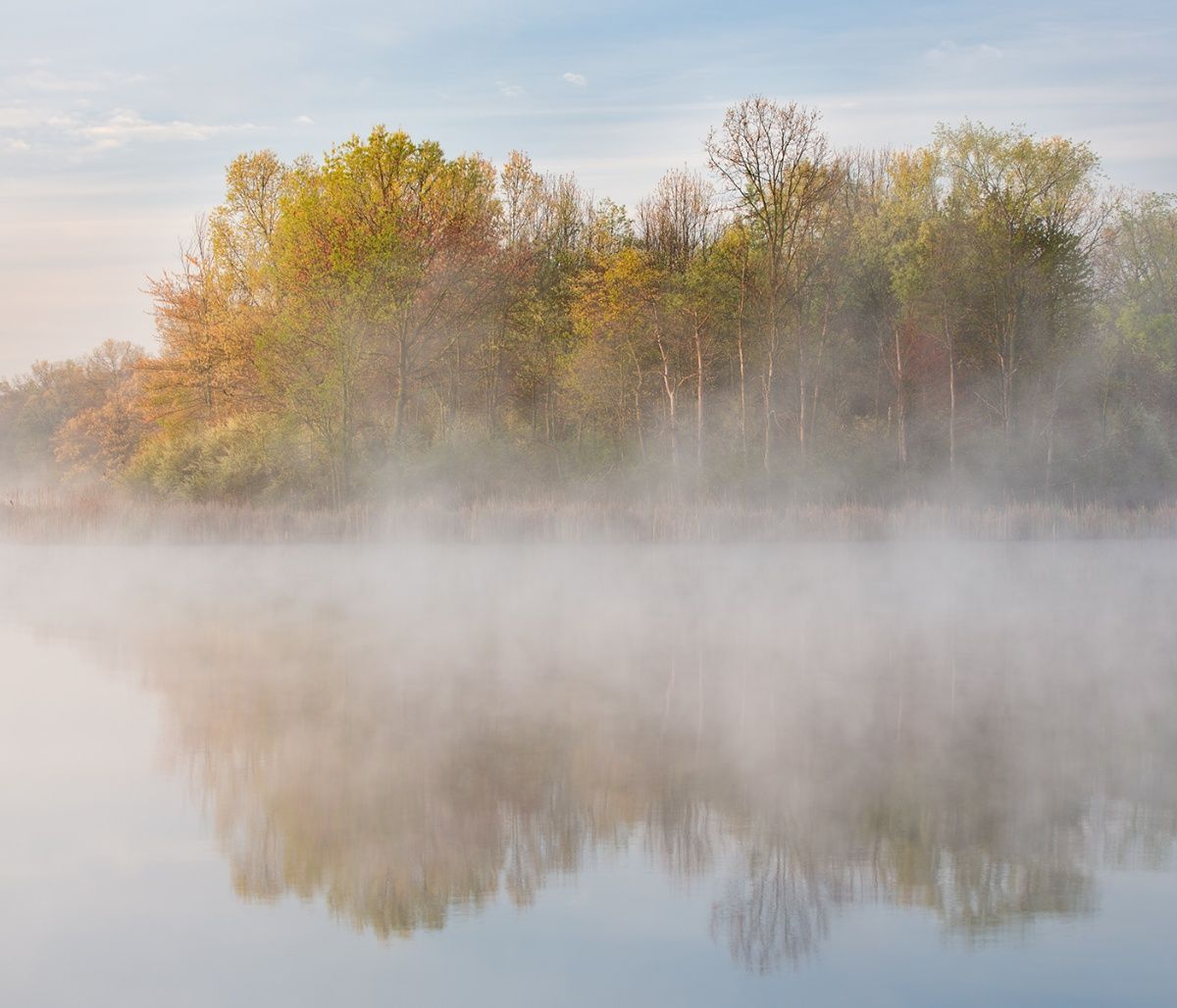 Διάβασε ΔΩΡΕΑΝ την προσωπική σου πρόβλεψη, για σήμερα 01/11/2023