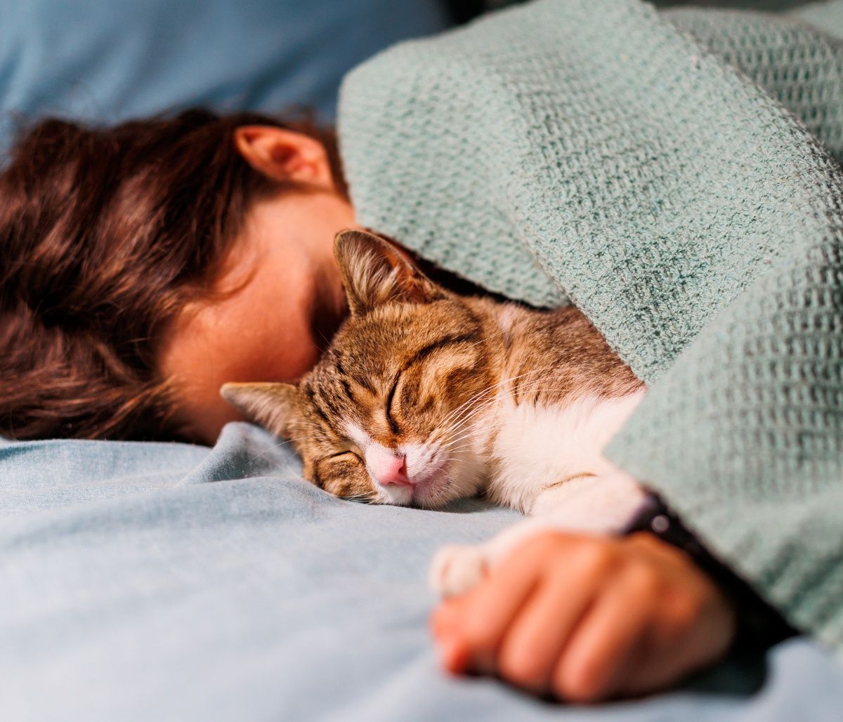 Σήμερα 02/11: Ανάγκη για προστασία και κατανόηση