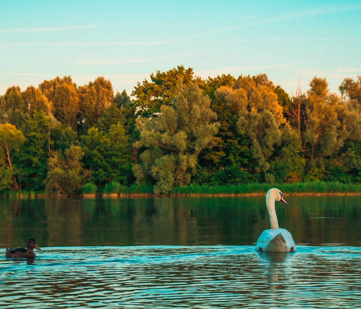 Διάβασε ΔΩΡΕΑΝ την προσωπική σου πρόβλεψη, για σήμερα 02/11/2023