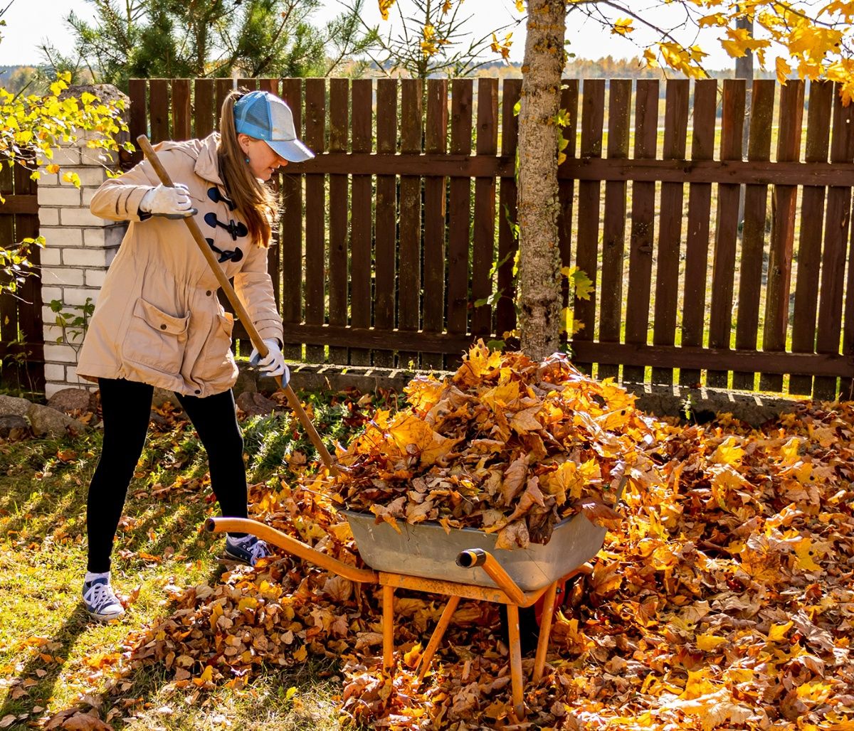 Προβλέψεις για όλα τα Ζώδια, 11/11: Ανεξέλεγκτες αντιδράσεις