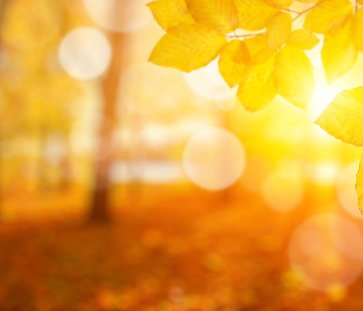 Διάβασε ΔΩΡΕΑΝ την προσωπική σου πρόβλεψη, για σήμερα 27/11/2023