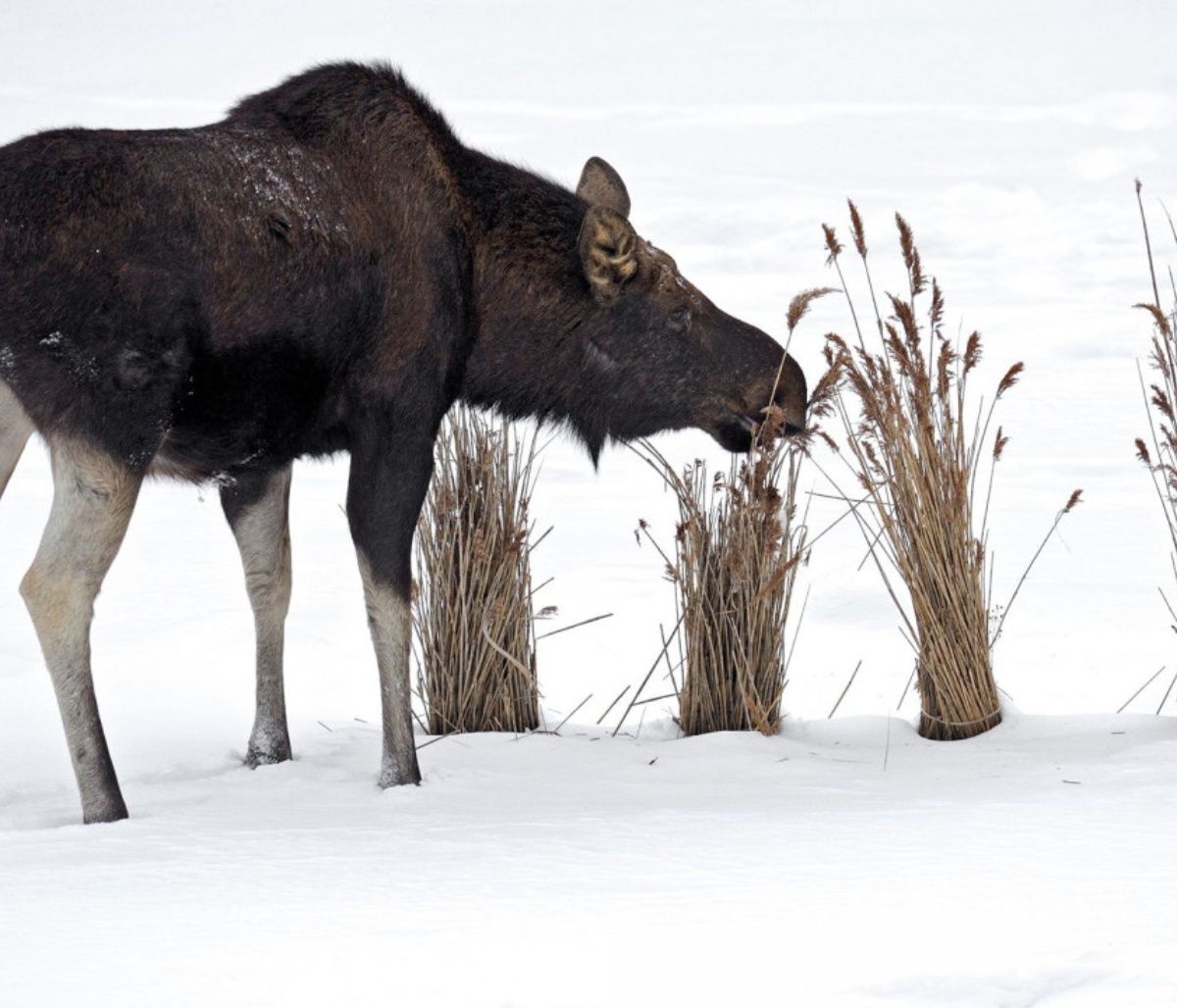 Διάβασε ΔΩΡΕΑΝ την προσωπική σου πρόβλεψη, για σήμερα 13/12/2023