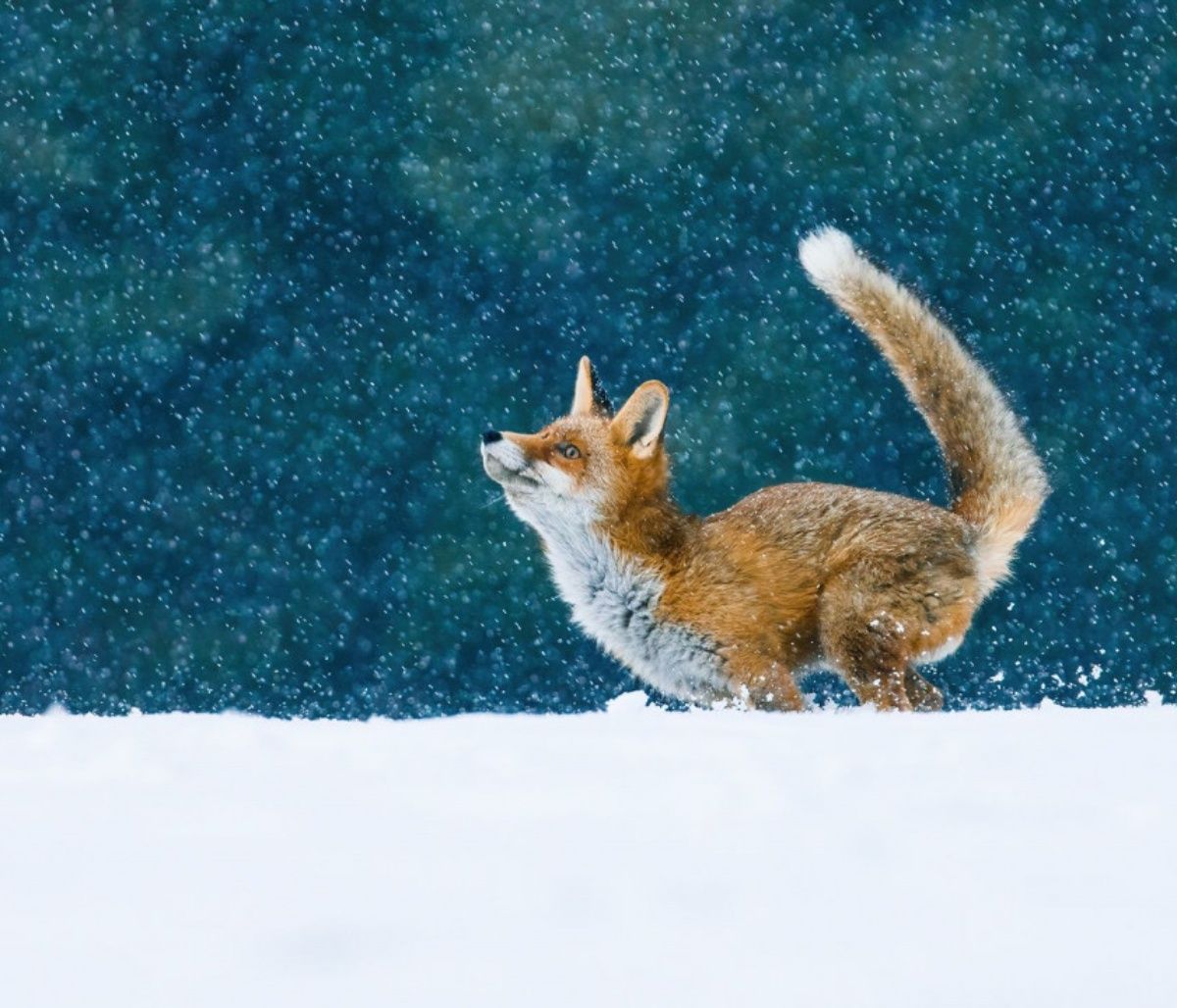 Διάβασε ΔΩΡΕΑΝ την προσωπική σου πρόβλεψη, για σήμερα 17/12/2023