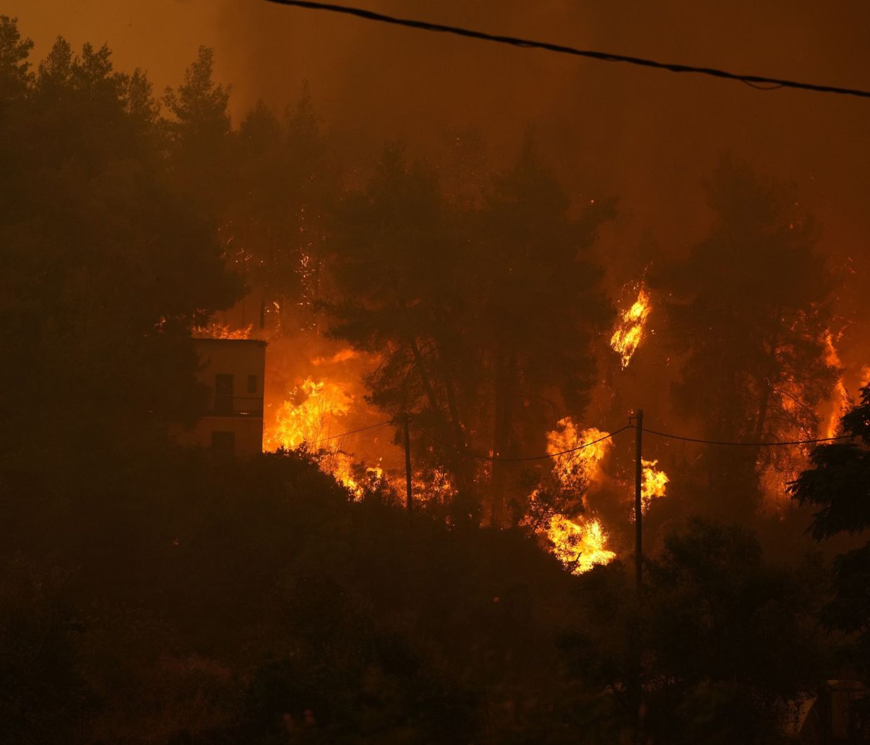 Θεέ μου! Στο Πευκί πέρασα πολλά παιδικά καλοκαίρια- Είναι ασύλληπτο όλο αυτό