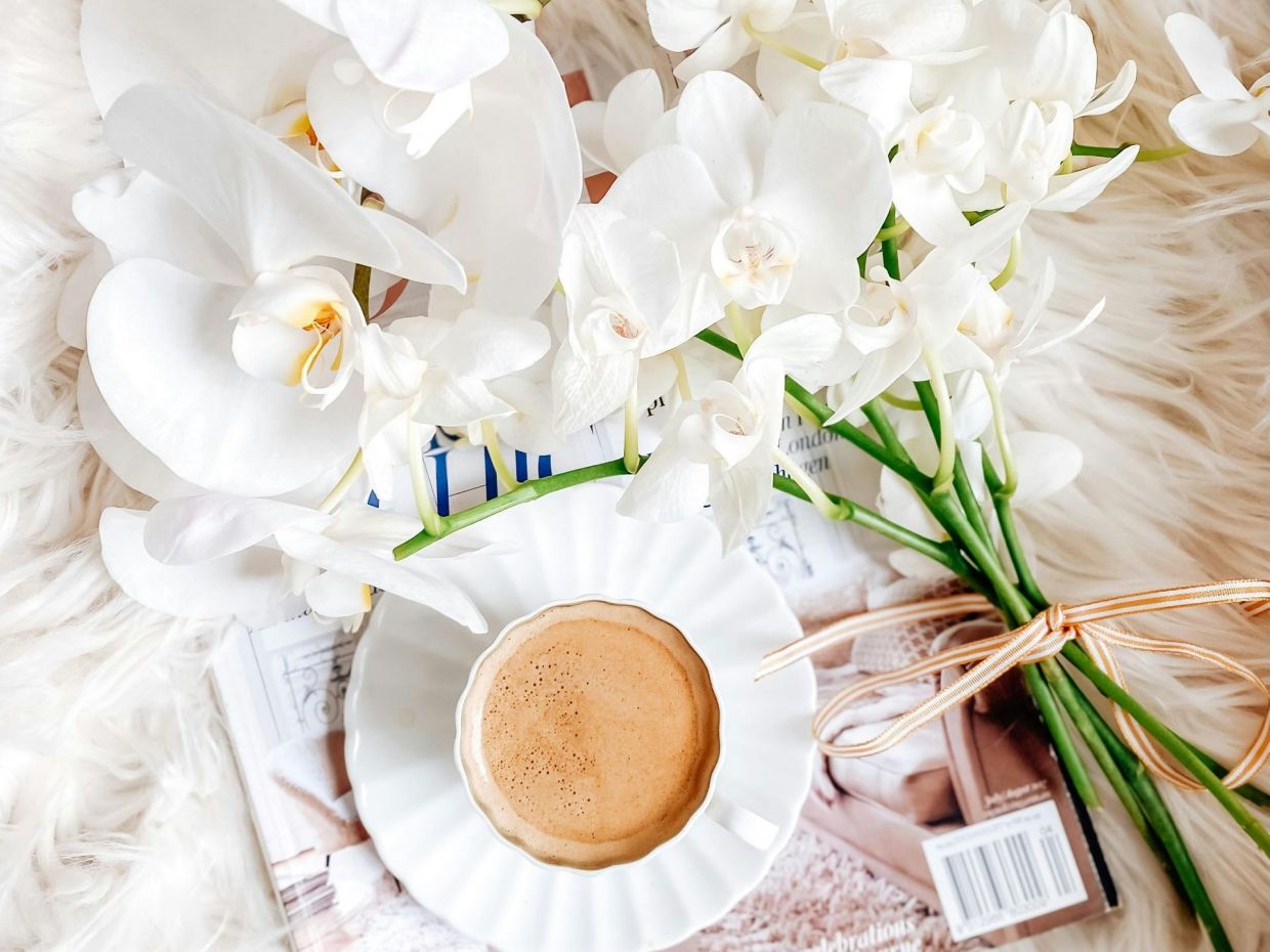 Αν θες να ανθίσει η ορχιδέα, πότισέ την με νερό ρυζιού μια φορά τον μήνα