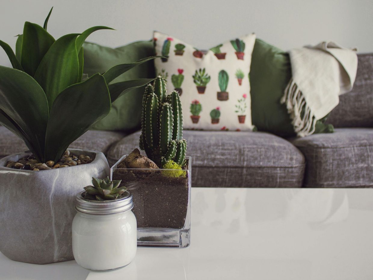 Δεν υπάρχει χώρος για αυτά τα άτυχα αντικείμενα στο σπίτι σου, σύμφωνα με το Φενγκ Σούι