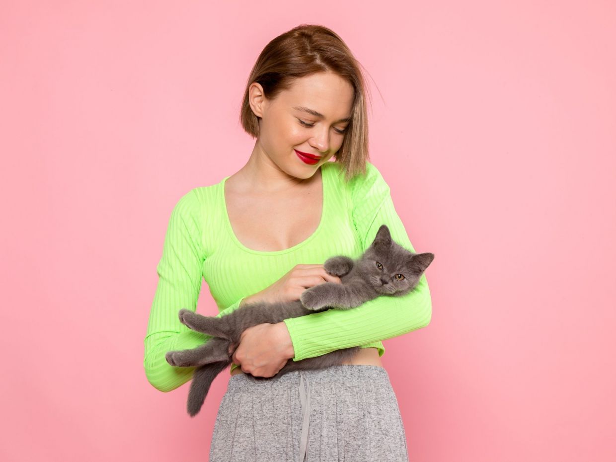 Γιατί η γάτα είναι (μακράν) καλύτερη ψυχοθεραπεύτρια από την Τεχνητή Νοημοσύνη