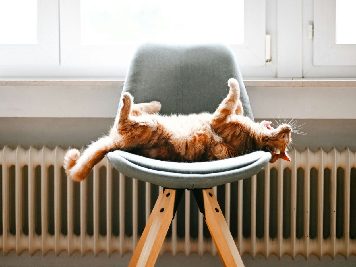 Καλοριφέρ μετά το καλοκαίρι: 4 βήματα πριν ανάψεις για πρώτη φορά τη θέρμανση