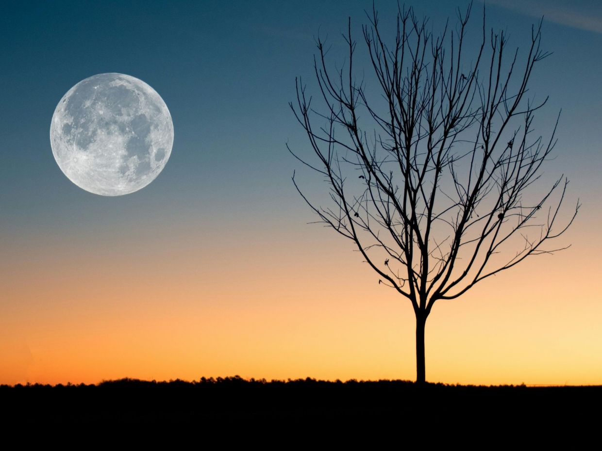 Η Υπερπανσέληνος στον Κριό αλλάζει τα πάντα για 4 ζώδια: Κλείνουν οι κύκλοι που πρέπει