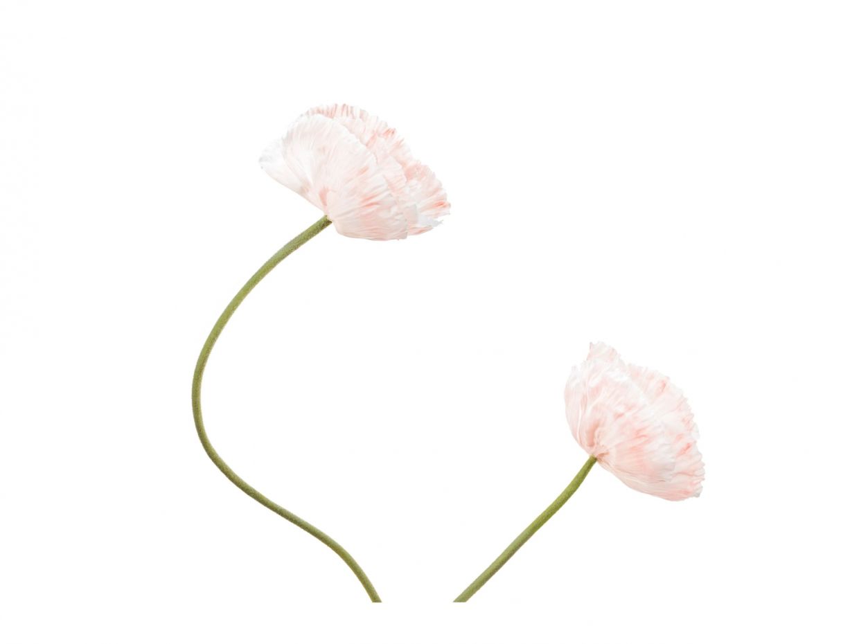 TikTok Viral Product! Ποιο είναι το νέο αγαπημένο προϊόν των πιο hot TikTokers στην Ελλάδα;