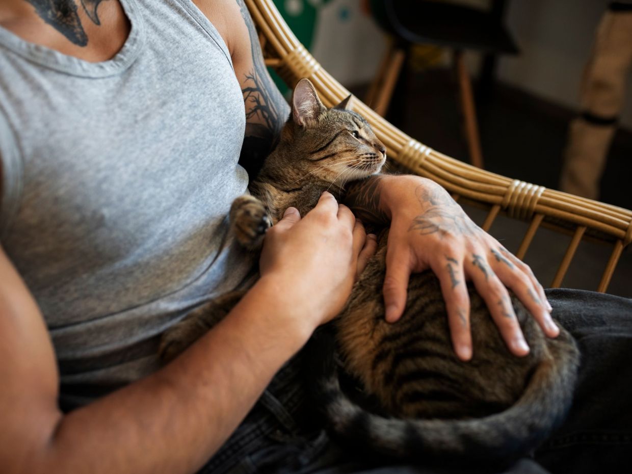 Είναι οι «γατομπαμπάδες» το νέο green flag; Είναι - και προσπάθησε να μου αλλάξεις τη γνώμη