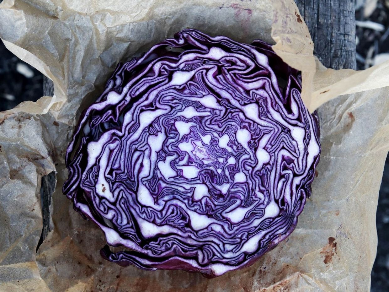 Από το beef tallow ως τις φυτικές ίνες: 7 food trends που θα βλέπεις παντού το 2026