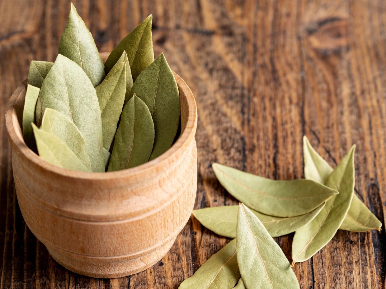 Γιατί τα φύλλα δάφνης κάτω από το μαξιλάρι είναι το μυστικό ευεξίας, σύμφωνα με το Feng Shui;