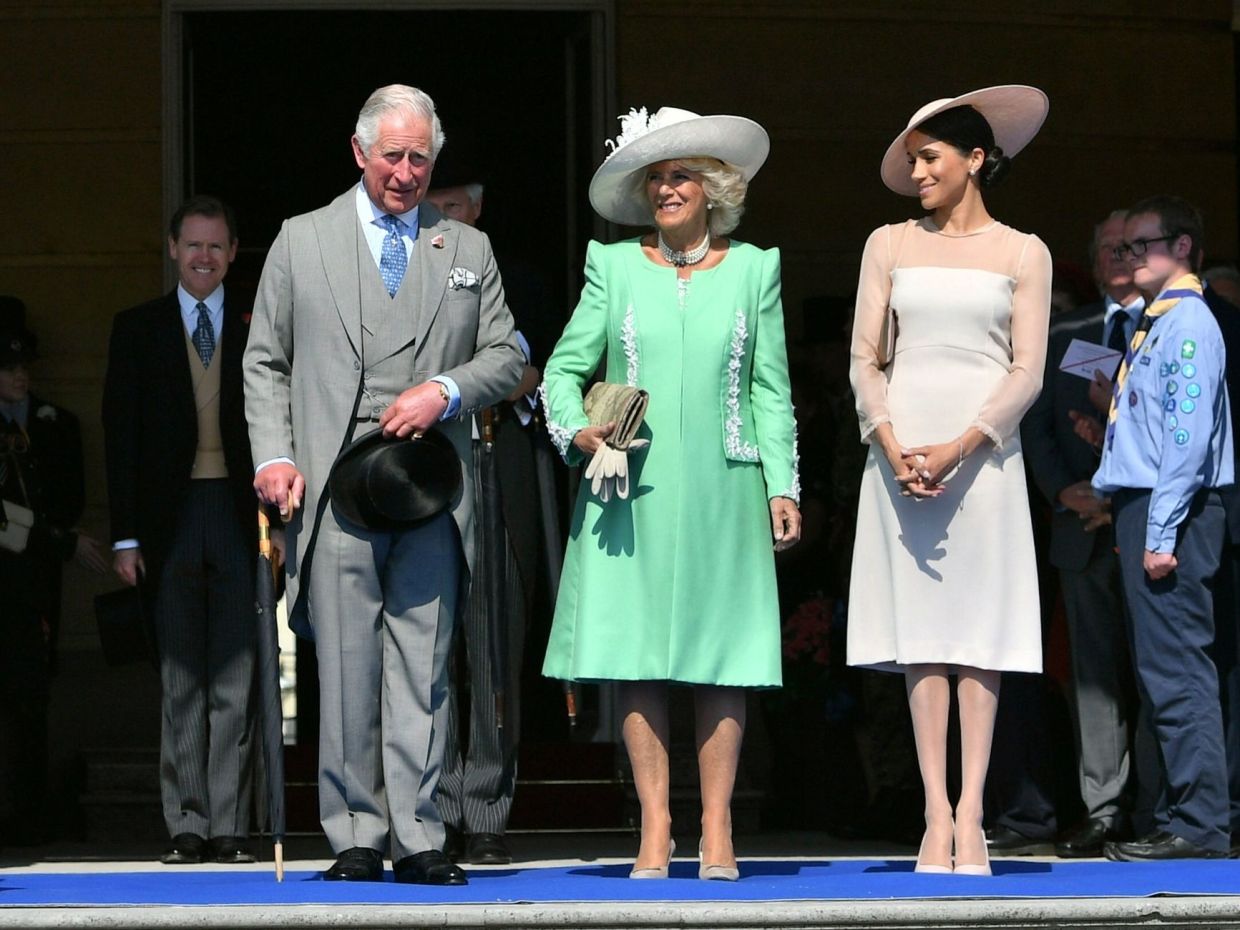 Η Camilla κατηγορεί τη Meghan για «πλύση εγκεφάλου» στον Harry; Το νέο βιβλίο τα αποκαλύπτει όλα