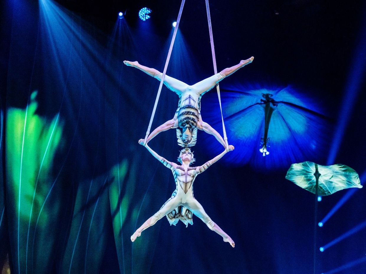 Το Cirque du Soleil παρουσιάζει το εντυπωσιακό show «OVO» στη Θεσσαλονίκη