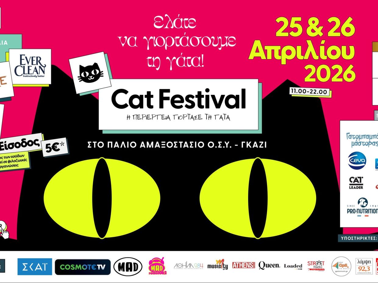 Cat Festival 2026: Η περιέργεια γιορτάζει τη γάτα