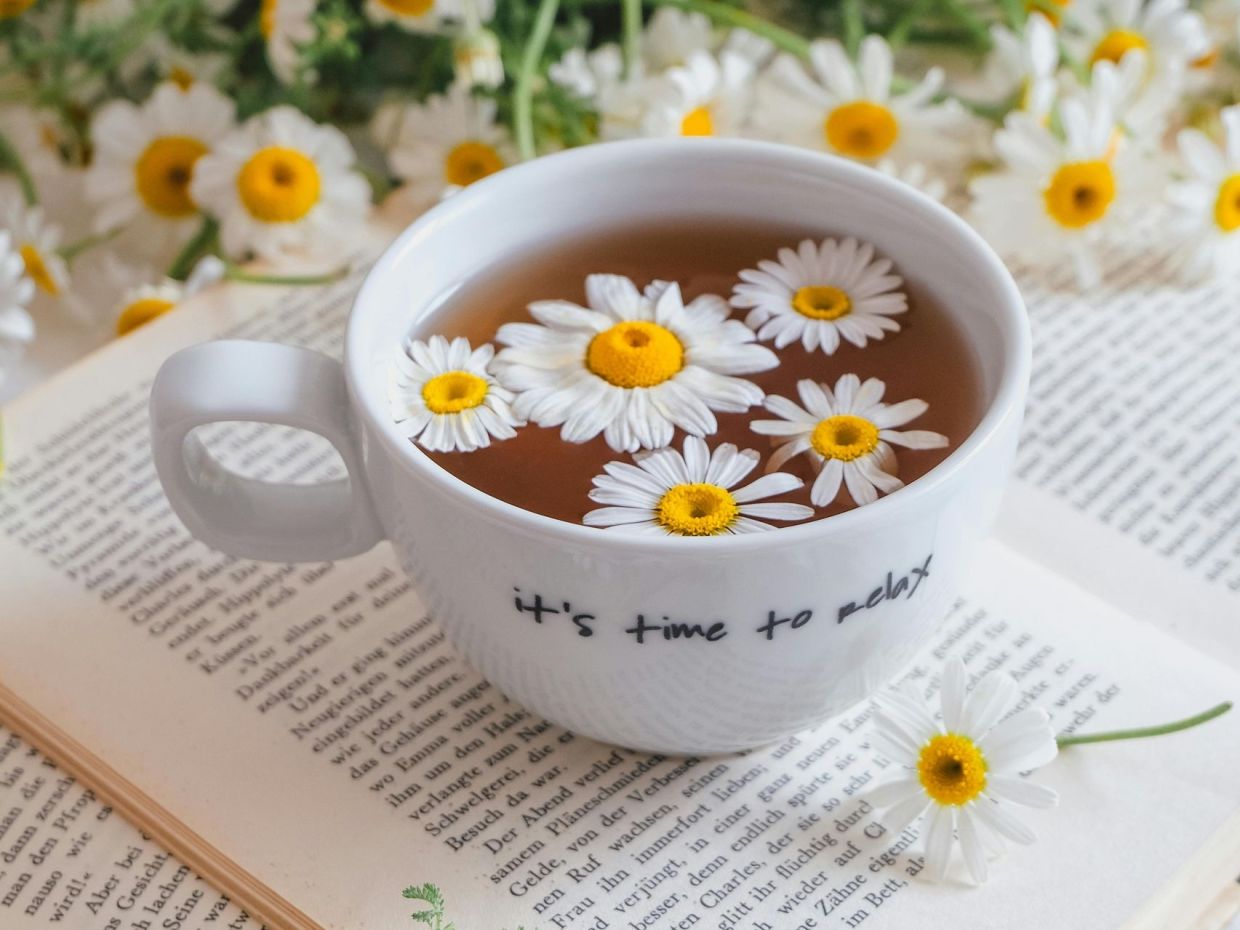 Δεν μπορείς να κοιμηθείς; 5 ροφήματα που σε βοηθούν να χαλαρώσεις πριν τον ύπνο