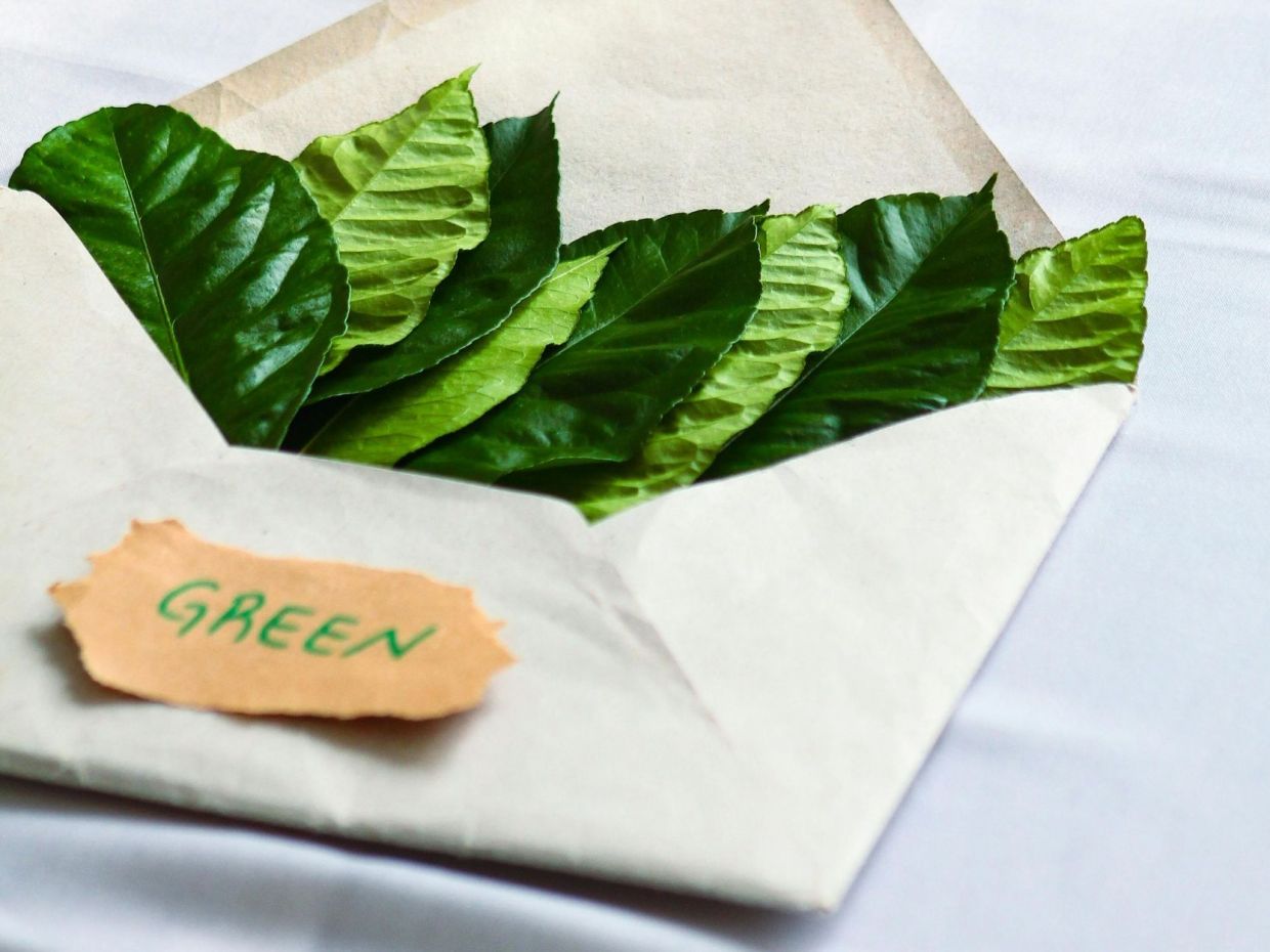  7 «τεμπέλικοι» τρόποι να γίνεις eco-friendly χωρίς να αλλάξεις τη ζωή σου