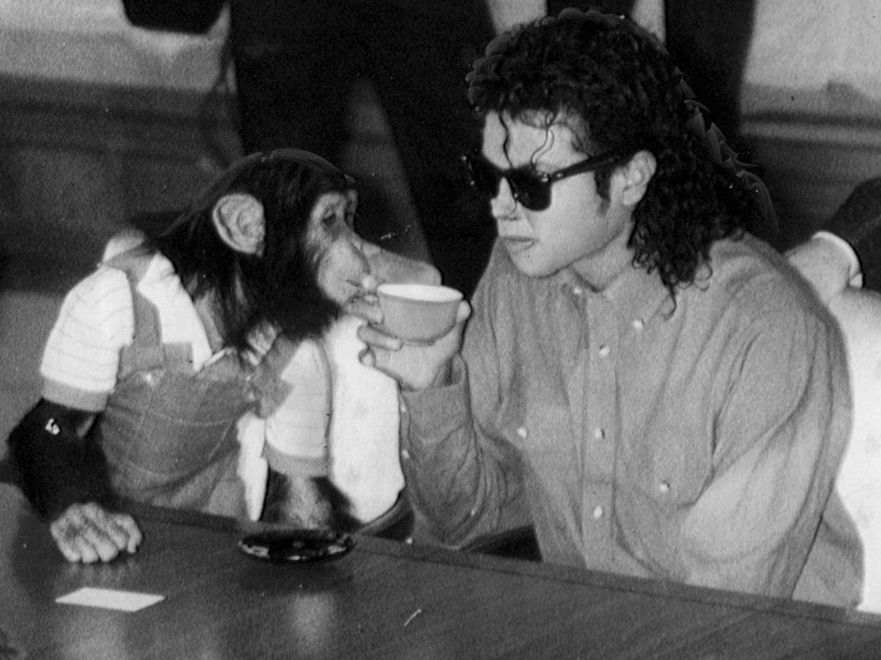 Κι όμως, ο Bubbles, ο χιμπατζής του Michael Jackson ζει: Η συνάντησή του με τον Jaafar Jackson