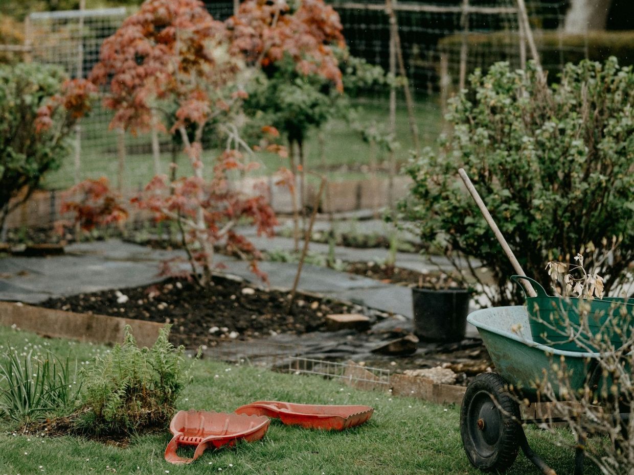 Τι είναι το chaos gardening: Η τάση της κηπουρικής χωρίς κόπο που κατακτά αυτή τη στιγμή τις αυλές