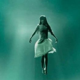 Αντίδοτο στην Ευεξία, του Γκορ Βερμπίνσκι