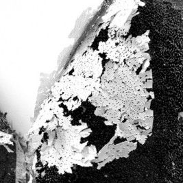 Substratum: έκθεση του Δημήτρη Εφέογλου και της Δέσποινας Φλέσσα στη Γκαλερί Ζουμπουλάκη