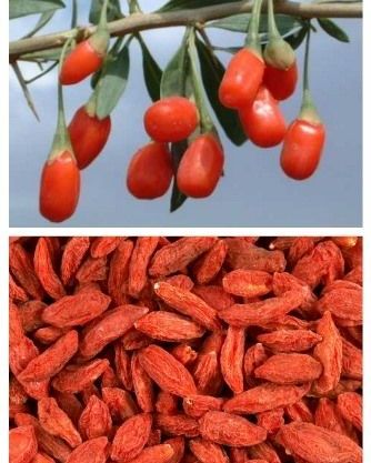 Goji Berry: Το μυστικό για υγεία και αδυνάτισμα