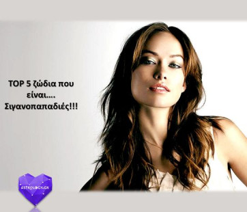 share-image