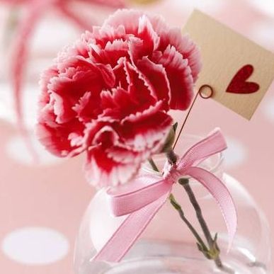 Ημέρα της Μητέρας 2017: Πότε «πέφτει» φέτος - Γιατί η γιορτή συνδεόταν με τα γαρύφαλλα