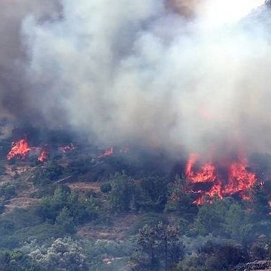 Υπό μερικό έλεγχο η φωτιά στα Μέγαρα Αττικής