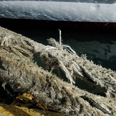 Απαγορευτικό απόπλου: Φεύγουν κανονικά τα πλοία από Πειραιά, Ραφήνα Λαύριο