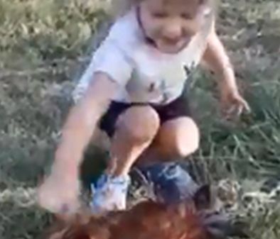 Κοριτσάκι vs κόκορας σημειώσατε… Χ (vid)