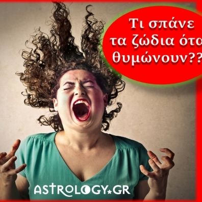 Τι σπάνε τα ζώδια όταν θυμώνουν;