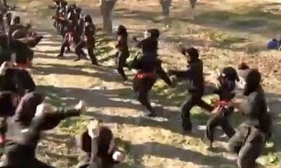 Video: Γυναίκες… και πολεμικές τέχνες!