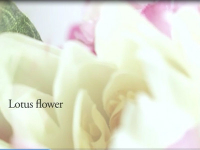 Παρέλαση λουλουδιών και όχι μόνο για το Attimo